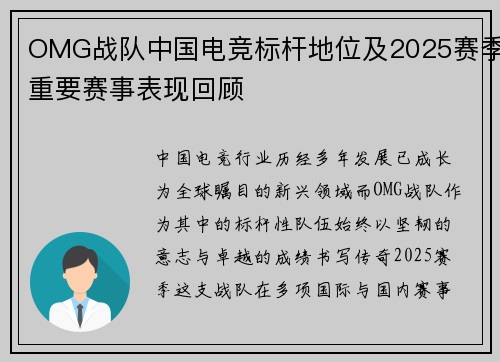 OMG战队中国电竞标杆地位及2025赛季重要赛事表现回顾